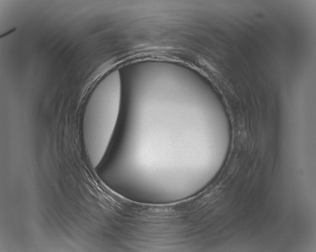 X0000052631354200507011023