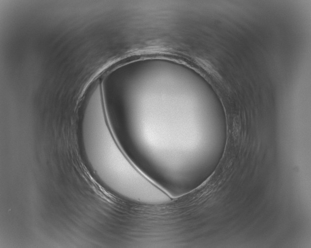 X0000052631356200507011023