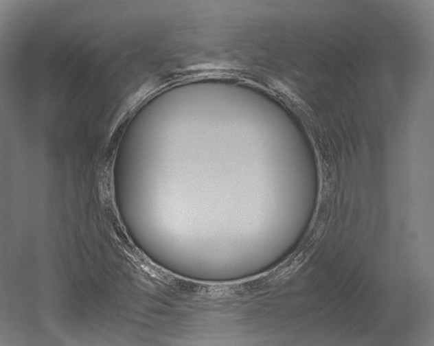 X0000052631357200507011023
