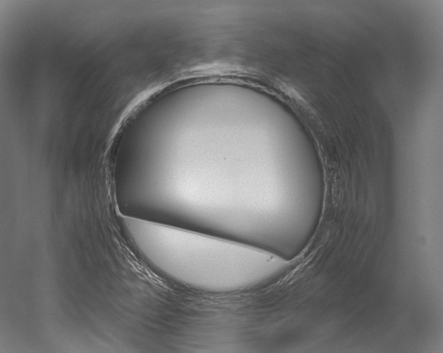 X0000052631358200507011023
