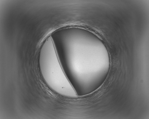 X0000052631359200507011023