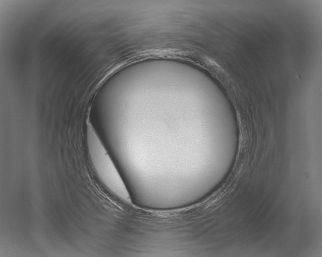 X0000052631361200507011023