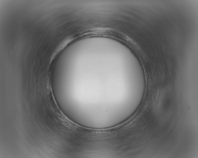 X0000052631362200507011023