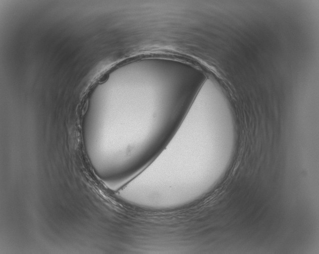 X0000052631363200507011023
