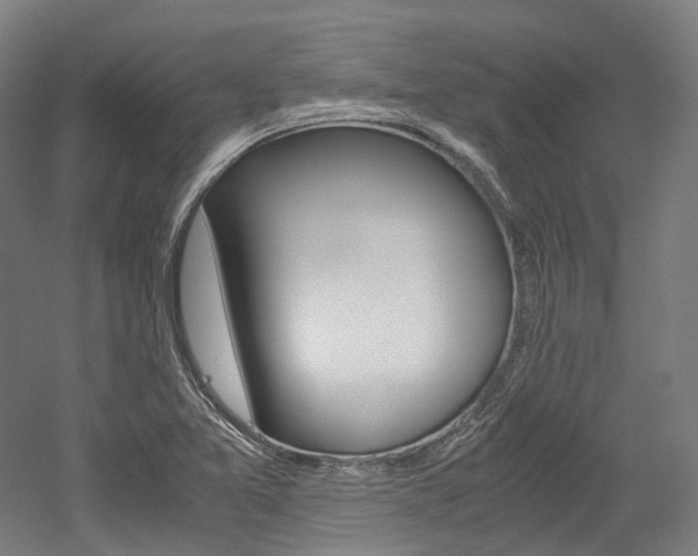X0000052631365200507011023