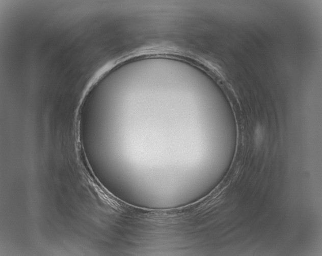 X0000052631366200507011022