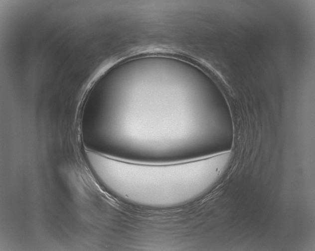 X0000052631367200507011022