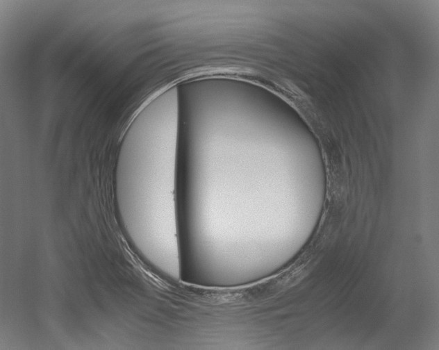 X0000052631369200507011022