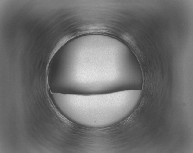 X0000052631370200507011022