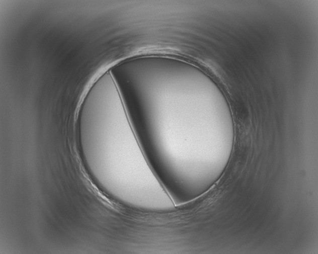 X0000052631371200507011022
