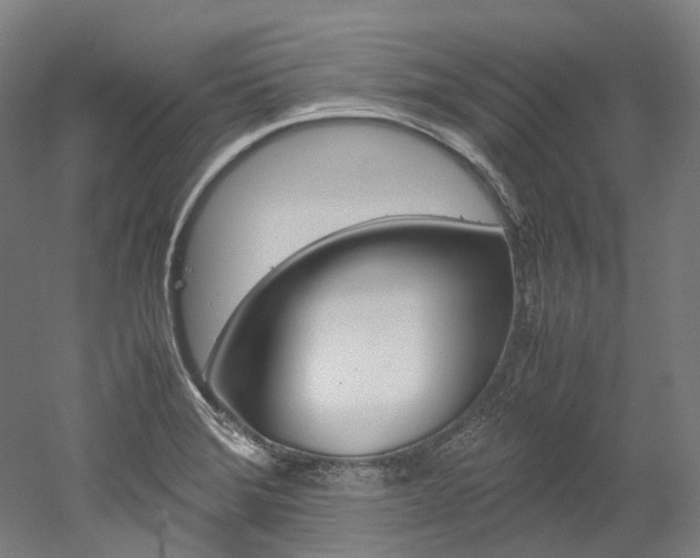 X0000052631372200507011022