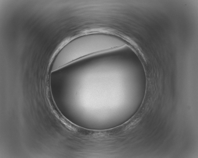 X0000052631373200507011022