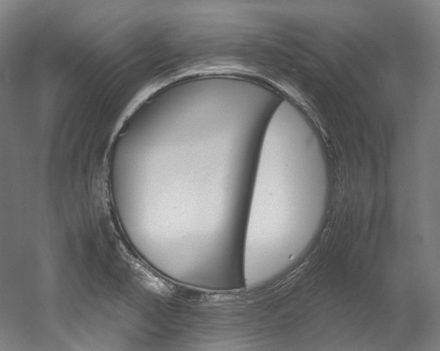 X0000052631374200507011022