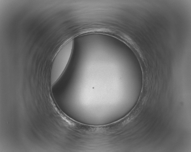 X0000052631377200507011022