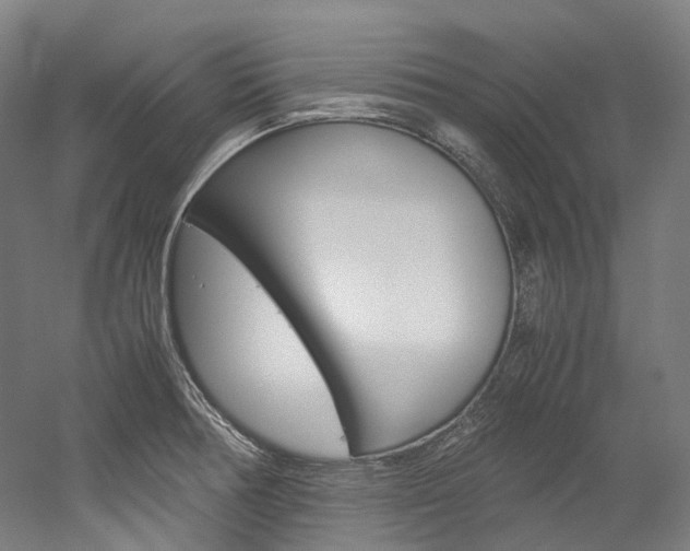 X0000052631378200507011022
