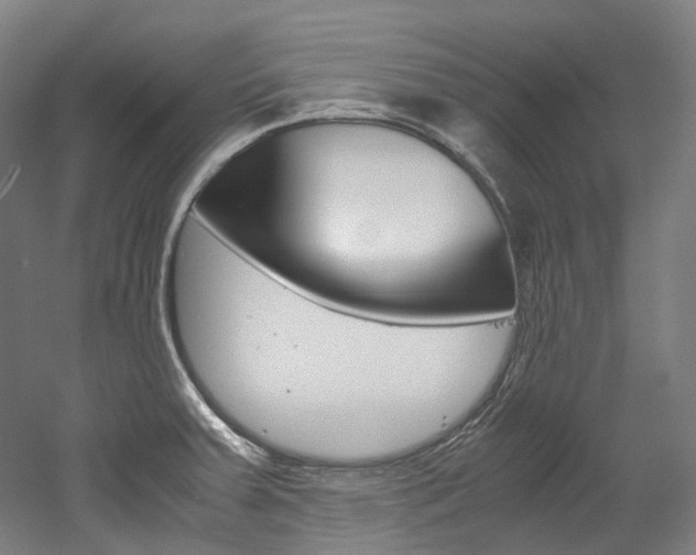X0000052631379200507011022