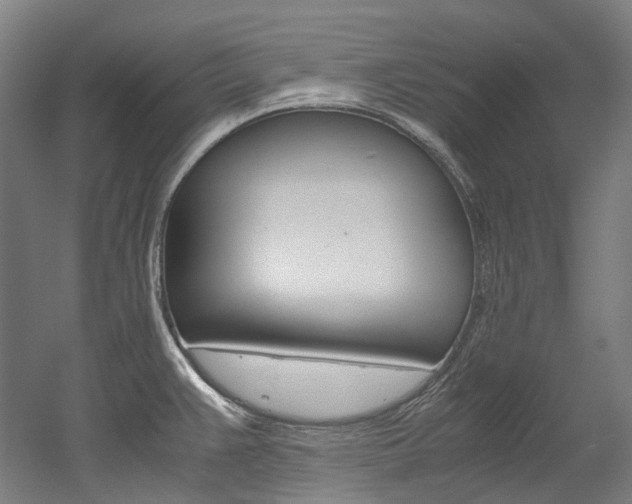X0000052631383200507011022