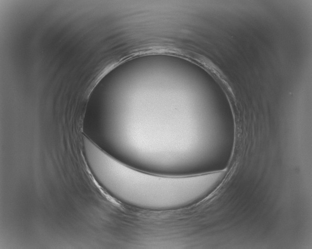 X0000052631385200507011022