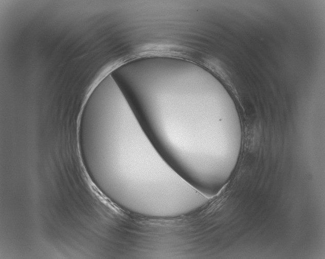X0000052631386200507011022