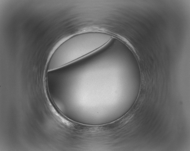 X0000052631387200507011022