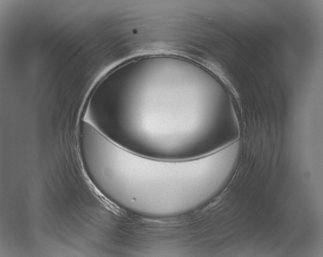 X0000052631388200507011022