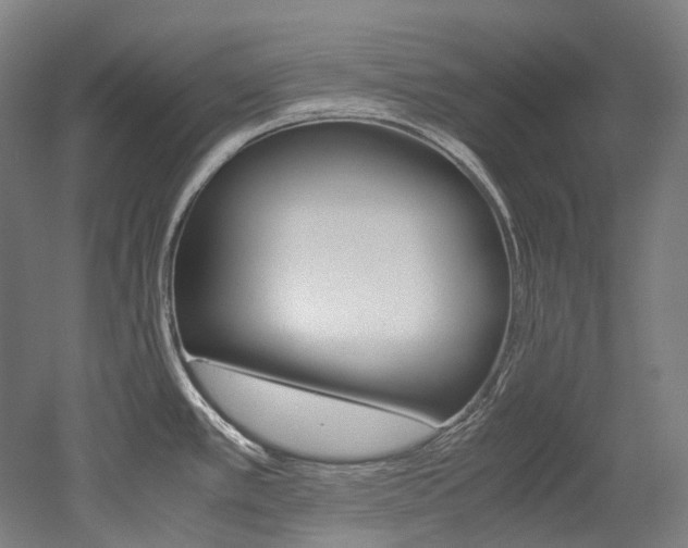X0000052631389200507011022