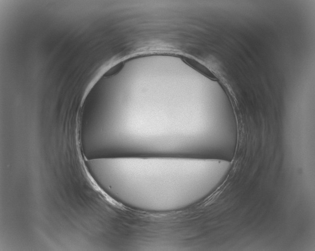 X0000052631390200507011022