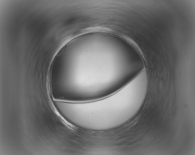 X0000052631391200507011022