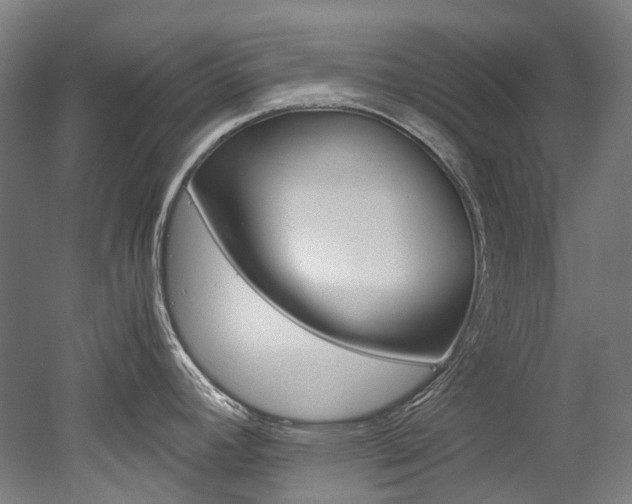 X0000052631392200507011022