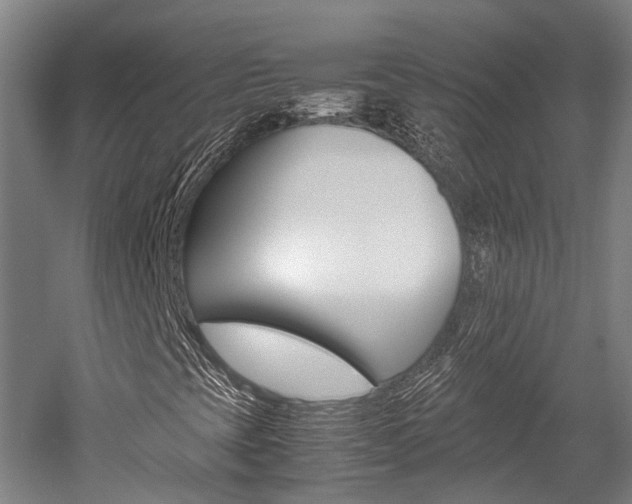 X0000052631393200507011021