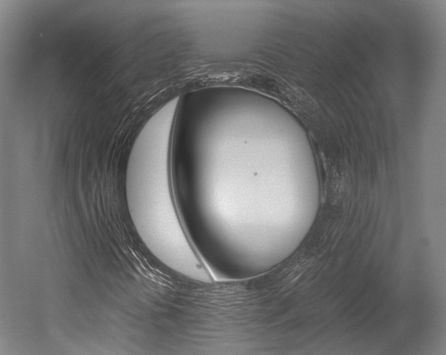 X0000052631394200507011021