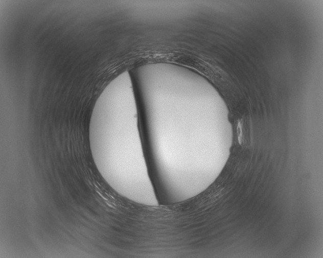 X0000052631395200507011021