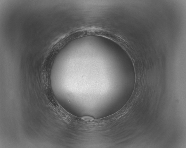 X0000052631398200507011021