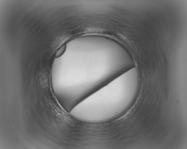 X0000052631401200507011021