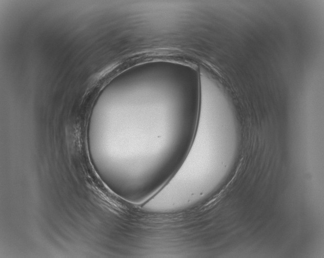 X0000052631402200507011021