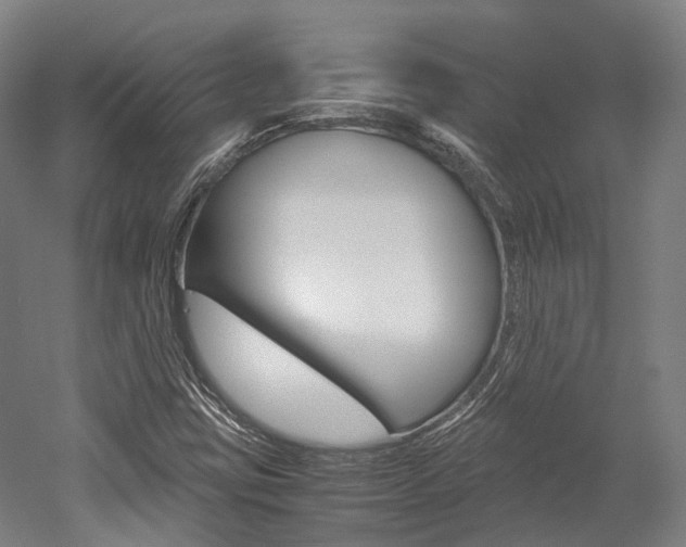 X0000052631403200507011021
