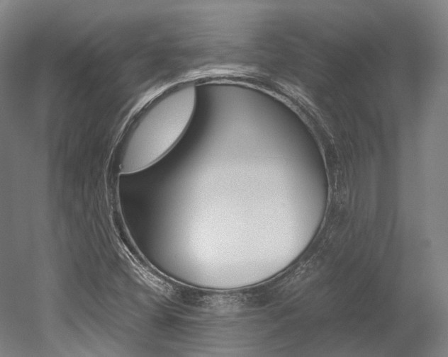 X0000052631404200507011021