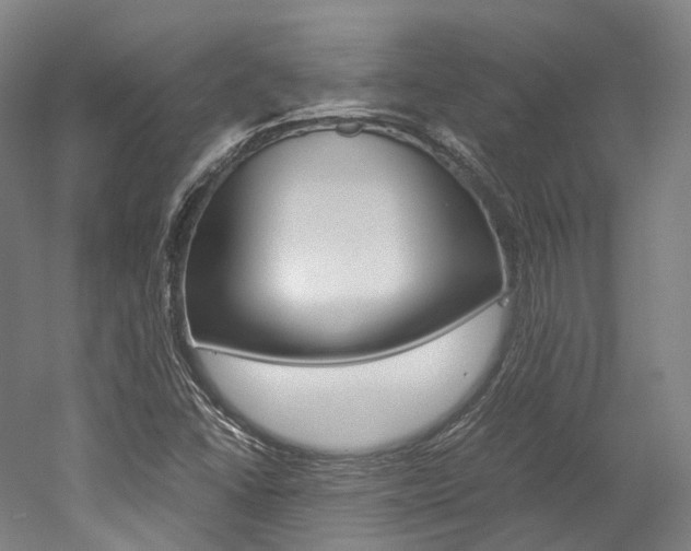 X0000052631406200507011021