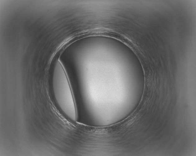 X0000052631410200507011022