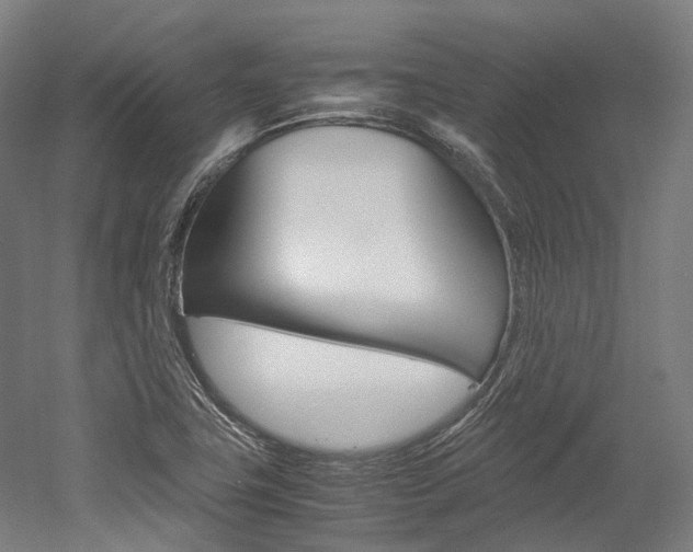 X0000052631411200507011022