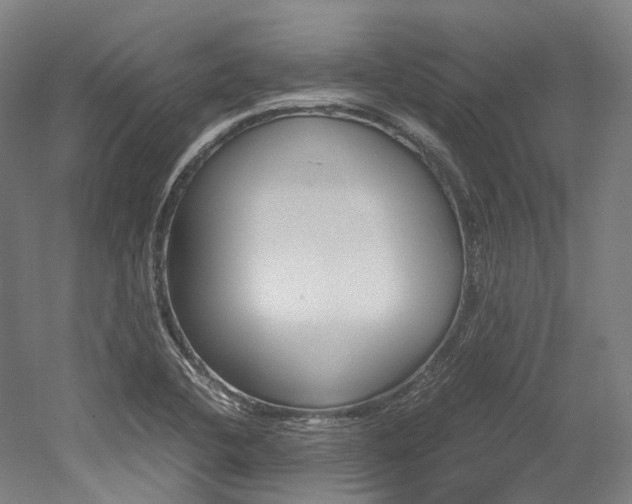 X0000052631412200507011022
