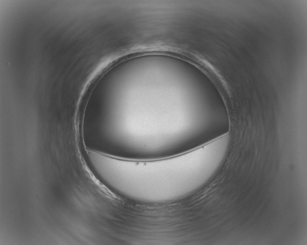 X0000052631416200507011022