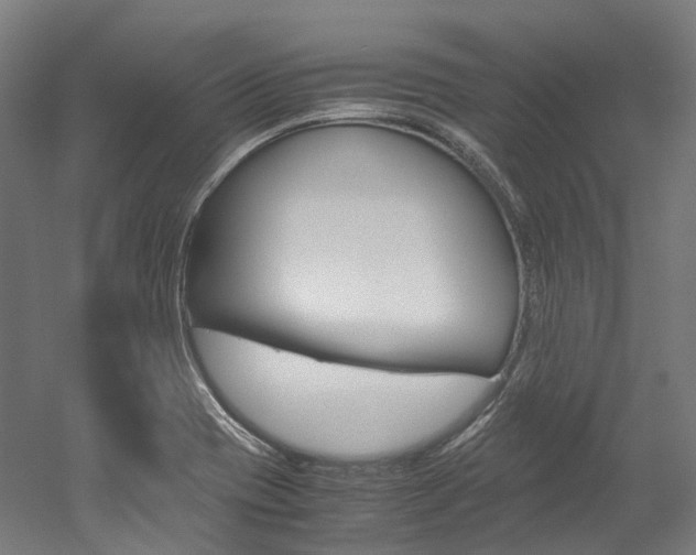 X0000052631417200507011022