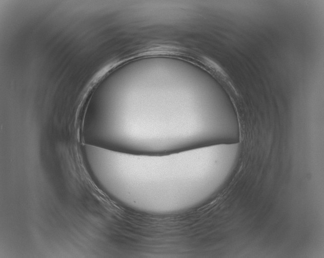 X0000052631419200507011022