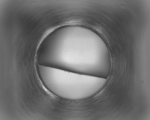 X0000052631421200507011022