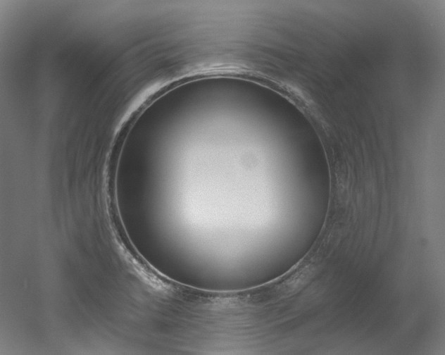X0000052631422200507011022