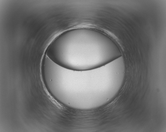 X0000052631423200507011022