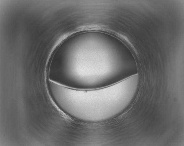 X0000052631424200507011022