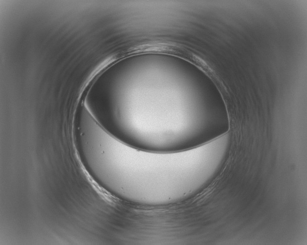 X0000052631426200507011022