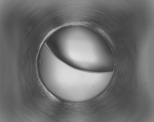 X0000052631428200507011022